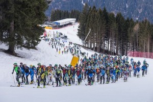 Ski Alp Val Rendena